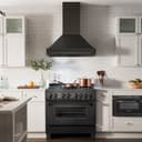 36"Black Stainless Steel Range Hood with Black Stainless Steel Handle view 2