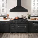 48"Black Stainless Steel Range Hood with Black Stainless Steel Handle view 2