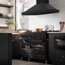 48"Black Stainless Steel Range Hood with Black Stainless Steel Handle view 8