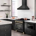 Wall Mount Range Hood (BS655N) - 36 Inch view 2