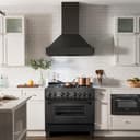 Wall Mount Range Hood (BS655N) - 36 Inch view 10