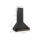 30"Black Stainless Steel Range Hood with Champagne Bronze Handle view 7