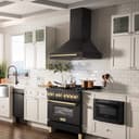36"Black Stainless Steel Range Hood with Polished Polished Gold Handle view 10