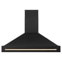 48"Black Stainless Steel Range Hood with Polished Polished Gold Handle view 4