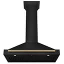 Autograph Edition 36 in. Black Stainless Steel Wall Mount Range Hood With Champagne Bronze Handle view 4