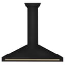 Autograph Edition 48 in. Black Stainless Steel Wall Mount Range Hood With Champagne Bronze Handle view 2