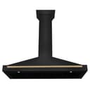 Autograph Edition 48 in. Black Stainless Steel Wall Mount Range Hood With Champagne Bronze Handle view 4