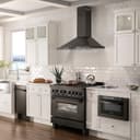 Convertible Vent Wall Mount Range Hood (BSKBN) - 36 Inch view 2