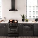 Convertible Vent Wall Mount Range Hood (BSKEN) - 24 Inch view 2