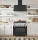 36" Dual-Fuel Professional Range with 6 Burners (Natural Gas) view 7