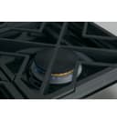 GE Series 36" Dual-Fuel Professional Range with 6 Burners (Natural Gas) view 15