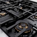 ZLINE 36 in. 5.2 cu. ft. Classic Dual Fuel Range with Gas Cooktop and Electric Convection Oven in Stainless Steel with 6 Brass Burners (CDR-BR-36) view 11