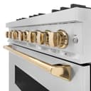 ZLINE Autograph Edition 36 in. 5.2 cu. ft. Classic Dual Fuel Range with 6 Burner Gas Cooktop and Electric Convection Oven in DuraSnow® Stainless Steel with Polished Gold Accents (CDRSZ-36-G) view 8
