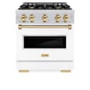 ZLINE Autograph Edition 30 in. 4.2 cu. ft. Classic Dual Fuel Range with 4 Burner Gas Cooktop and Electric Convection Oven in Stainless Steel with White Matte Door and Polished Gold Accents (CDRZ-WM-30-G) view 3