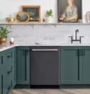 Stainless Interior Built-In Dishwasher with Hidden Controls view 8