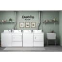 Commercial Electric Super-Capacity Dryer, Coin Slide view 2