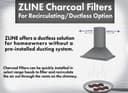Set of Two(2) Charcoal Filters view 4