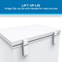 Avanti 5.0 cu. ft. Garage Ready Convertible Chest Freezer view 4