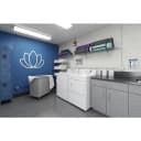 Commercial Gas Super-Capacity Dryer, Non-Coin view 2
