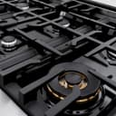 ZLINE 36 in. 5.2 cu. ft. Classic Gas Range with 6 Burner Cooktop and Convection Gas Oven in Stainless Steel (CGR36) view 10