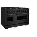 ZLINE 48 in. 6.7 cu. ft. Classic Double Oven Gas Range in Black Stainless Steel with 8 Brass Burners (CGRB-BR-48) view 3