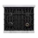 30 in. 4.2 cu. ft. Classic Gas Range with 4 Burner Cooktop and Convection Gas Oven view 7