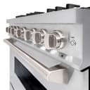 ZLINE 36 in. 5.2 cu. ft. Classic Gas Range with Convection Gas Oven in Stainless Steel with 6 Brass Burners (CGR-BR-36) view 8