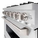 ZLINE 36 in. 5.2 cu. ft. Classic Gas Range with 6 Burner Cooktop and Convection Gas Oven in DuraSnow® Stainless Steel (CGRS-36) view 7