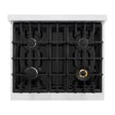30 in. 4.2 cu. ft. Classic Gas Range with 4 Burner Cooktop and Convection Gas Oven view 11