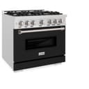 36 in. 5.2 cu. ft. Classic Gas Range with 6 Burner Cooktop and Convection Gas Oven view 4