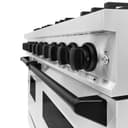 ZLINE Autograph Edition 48 in. 6.7 cu. ft. Classic Double Oven Gas Range with 8 Burner Cooktop in Stainless Steel and Matte Black Accents (CGRZ-48-MB) view 8