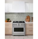 36" Smart All-gas Commercial-style Range With 6 Burners (natural Gas) view 6