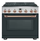 36" All-Gas Professional Range with 6 Burners (Natural Gas) view 6