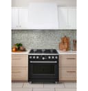 36" Smart All-gas Commercial-style Range With 6 Burners (natural Gas) view 6