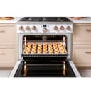 36" Smart All-gas Commercial-style Range With 6 Burners (natural Gas) view 19