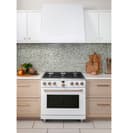 36" Smart All-gas Commercial-style Range With 6 Burners (natural Gas) view 11