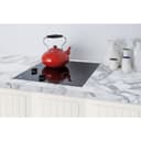 21" Wide 115V 2-Burner Radiant Cooktop view 3