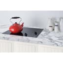 21" Wide 115V 2-Burner Radiant Cooktop view 4