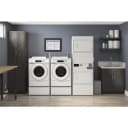 Commercial Electric Stack Dryer, Coin-Drop Equipped view 2