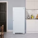 Designer 17.0 cu. ft. Apartment Size Fridge view 5