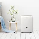 40 pint Dehumidifier view 4