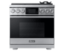Professional dual-fuel range view 1