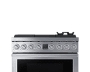 Professional dual-fuel range view 3