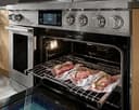 Professional dual-fuel range view 15