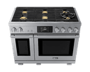 Professional dual-fuel range view 14