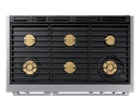 Professional dual-fuel range view 12