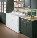 7.0 Cu. Ft. Super Capacity Electric Dryer with Stainless Steel Drum view 2