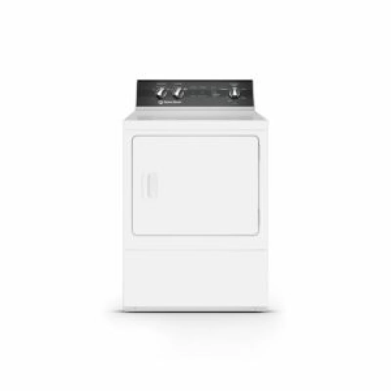Sanitizing Electric Dryer with Steam