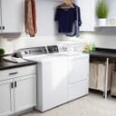 DR5 Sanitizing Gas Dryer with Steam view 6
