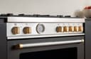 Master Series Induction Knob Décor Set - 11 Knobs Gold view 2